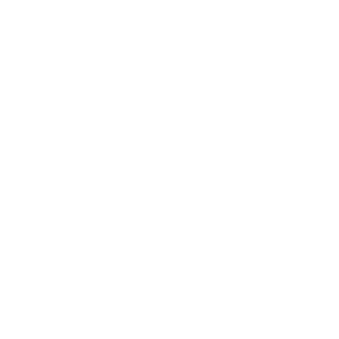 فرش سپنج
